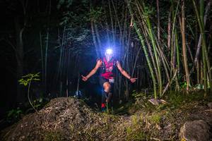 BIB: 
                            <button type="button" onclick="openModal(6934158)" class="btn btn-primary btn-sm float-right btn-popup" data-toggle="modal" data-target=".modal-high-quality">
                        <i class="fas fa-shopping-cart"></i> Add to Cart
                    </button>
                                            <button type="button" onclick="isThisMe(6934158, true)" class="btn btn-success btn-sm float-right btn-popup btn-isme hidden" data-toggle="tooltip" data-placement="bottom" title="นี่คือรูปของคุณใช่ไหม คลิกที่นี่เพื่อเอาเข้าอัลบั้ม">
                        <i class="fas fa-plus"></i> Add to album
                    </button>
                    <button type="button" onclick="isThisMe(6934158, false)" class="btn btn-warning btn-sm float-right btn-popup btn-isnotme hidden">
                        <i class="fas fa-ban"></i> Remove from album
                    </button>